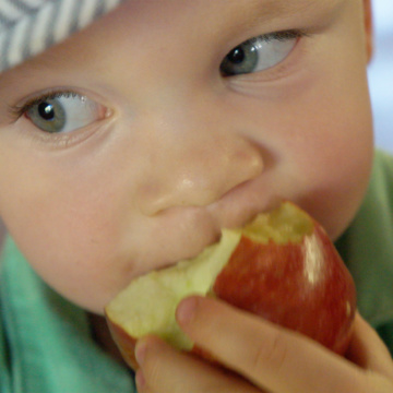 2014 – September 1: Apple Picking